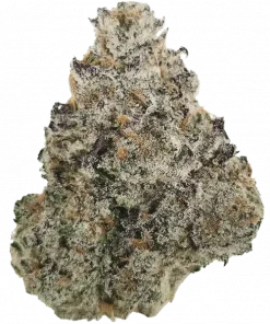 Slurriking, tatlı üzüm aromalı, dengeli bir hibrit türdür. Öforik etkileri ve bitkisel notalarıyla öne çıkar. Bu eşsiz türü keşfedin.