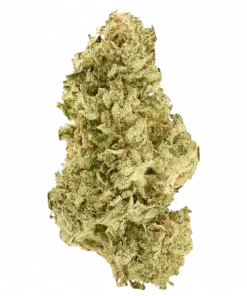 Slymer, ferahlatıcı limon aromaları ve yüksek THC içeriğiyle bilinen Sativa baskın bir türdür. Mutluluk ve rahatlama etkilerini keşfedin, genetik yapısını görüntüleyin.