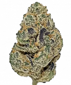 Smackerz, tatlı meyve aroması ve THC oranıyla öne çıkan indica dominant bir türdür. Rahatlatıcı etkilerini ve genetik yapısını keşfedin.