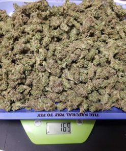 Smoothie Auto Fem Esrar Tohumu (Fast Buds)