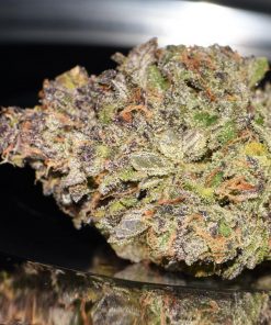 Smoothie Auto Fem Esrar Tohumu (Fast Buds)