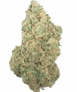 Snow Bud, toprak ve baharat aromalarıyla öne çıkan dengeli bir hibrit türdür. Stres ve kaygı azaltıcı etkileriyle bilinir. Snow Bud'ı keşfedin.