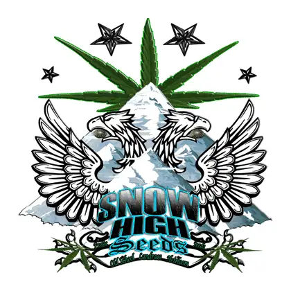 Snow High Seeds