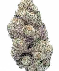 Snow White, odunsu ve narenciye aromalı, yüksek THC'li Indica baskın bir türdür. Depresyon ve anksiyeteye iyi geldiği bilinir. Özelliklerini keşfedin.