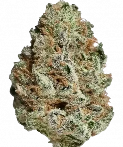 Snowcap, kimyasal limon aroması ve yüksek THC içeriğiyle öne çıkan dengeli bir hibrit türdür. Depresyon ve stresi azaltmaya yardımcı etkilerini keşfedin.