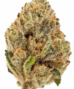 Snowman, vanilya ve yakıtımsı aromalarıyla öne çıkan Sativa baskın bir türdür. Mutluluk ve yaratıcılık veren bu eşsiz türü keşfedin.