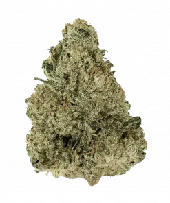 So Fresa, çilek aromaları ve rahatlatıcı etkisiyle öne çıkan Indica baskın bir türdür. Ağrı ve stres için ideal. Genetik yapısını keşfedin.