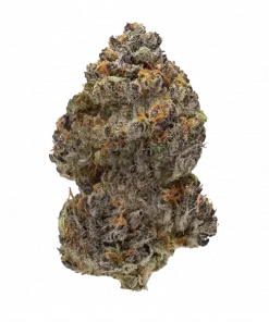 Soju, tatlı üzüm aroması ve dengeli etkileriyle öne çıkan Indica baskın bir türdür. Yüksek THC içeriğiyle rahatlatıcı etkilerini keşfedin ve hemen inceleyin.