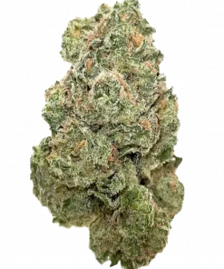 Somango, tropikal mango aromaları ve rahatlatıcı etkisiyle bilinen Indica baskın bir türdür. Jack Herer genetiğiyle öne çıkar. Özelliklerini keşfedin.