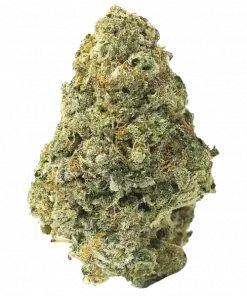 Soul Safari, turunçgil aromaları ve yüksek THC içeriğiyle öne çıkan Sativa baskın bir türdür. Derin rahatlama ve uyku getirici etkileri keşfedin.