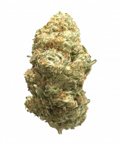 Soul Ztone, böğürtlen aromaları ve rahatlatıcı etkileriyle bilinen Indica dominant bir türdür. Yüksek THC içeriğiyle öne çıkar. Genetik yapısını keşfedin.