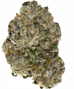 Sour 98, sert yakıtımsı aroması ve enerjik etkileriyle öne çıkan dengeli bir türdür. Anksiyete ve ağrı için potansiyel faydalarını keşfedin. Hemen görüntüleyin.