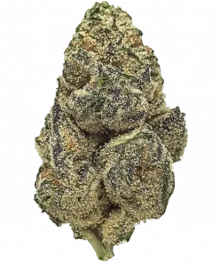 Sour Bubba, yakıtımsı ve limon aromalarıyla öne çıkan güçlü bir Indica türüdür. Yüksek THC içeriğiyle derin rahatlama sağlar. Genetik yapısını keşfedin.