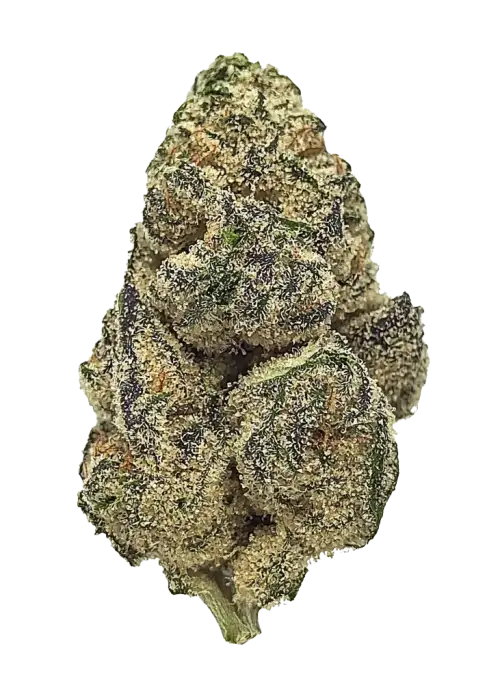Sour Bubba, yakıtımsı ve limon aromalarıyla öne çıkan güçlü bir Indica türüdür. Yüksek THC içeriğiyle derin rahatlama sağlar. Genetik yapısını keşfedin.