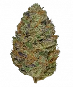 Sour Bubble, yakıtımsı aroması ve yüksek THC içeriğiyle öne çıkan bir Indica türüdür. Güçlü etkilerini ve genetik yapısını keşfetmek için hemen görüntüleyin.