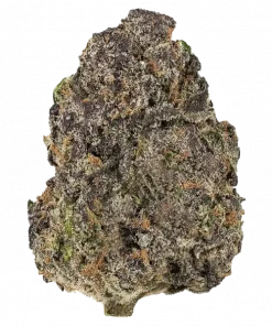 Sour Clementine, belirgin narenciye aroması ve dengeli etkisiyle öne çıkan bir türdür. Yaratıcılığı destekleyen bu hibrit türü keşfedin ve özelliklerini görüntüleyin.