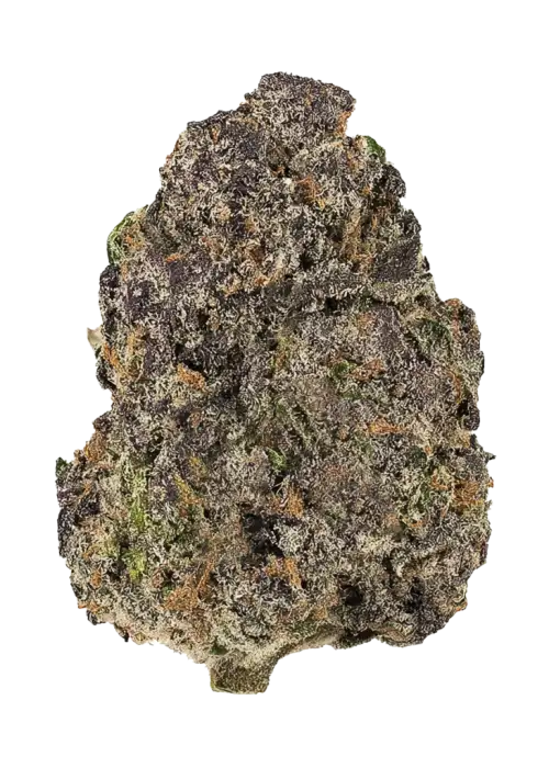 Sour Clementine, belirgin narenciye aroması ve dengeli etkisiyle öne çıkan bir türdür. Yaratıcılığı destekleyen bu hibrit türü keşfedin ve özelliklerini görüntüleyin.