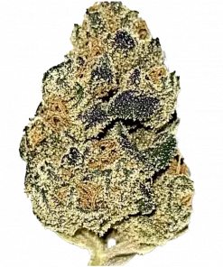 Sour Cookies, yakıtımsı ve tatlı aromalarıyla öne çıkan Sativa baskın bir türdür. Depresyon ve stresi azaltan etkilerini keşfedin, hemen görüntüleyin.