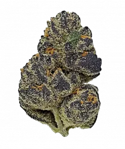 Sour Grape, tatlı üzüm aromasıyla öne çıkan dengeli bir hibrit türdür. Enerjik etkileri ve orta THC seviyesiyle ideal. Özelliklerini keşfedin.