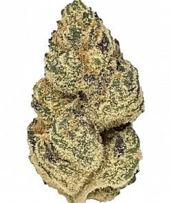 Sour Haze, sert benzin kokusu ve yüksek THC içeriğiyle bilinen güçlü bir Sativa türüdür. Enerjik etkilerini ve genetik yapısını keşfedin.