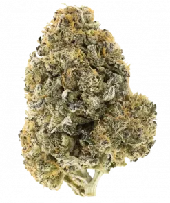 Sour Jack, yakıtımsı ve ekşi aromaları ile bilinen Sativa dominant bir türdür. Yüksek THC içeriğiyle enerji verici etkiler sunar. Özelliklerini keşfedin.