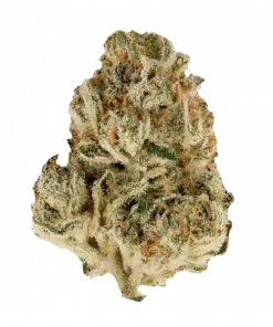 Sour Kush, keskin benzin ve limon aromalarıyla öne çıkan indica baskın bir türdür. Yüksek THC içeriğiyle rahatlatıcı ve canlandırıcı etkiler sunar. Keşfedin.