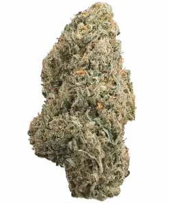 Sour Lemon Mochi, yakıtımsı ve kremsi lezzetleriyle öne çıkan dengeli bir hibrit türdür. Stres ve ağrı için ideal. Genetik yapısını keşfedin.