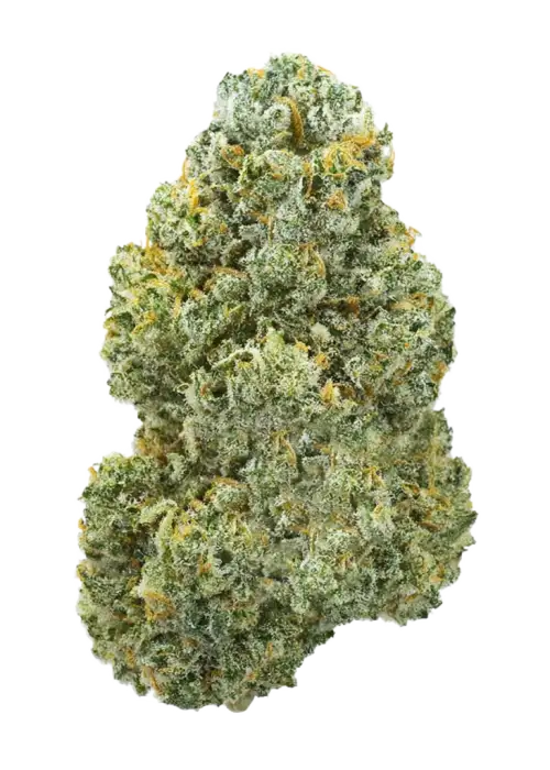 Sour Melon, tatlı kavun aroması ve yüksek reçine üretimiyle bilinen indica dominant bir türdür. Ağır vücut etkileriyle rahatlamayı keşfedin.