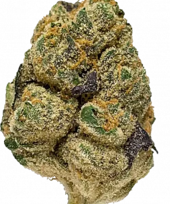 Sour Papaya, ananas aromaları ve rahatlatıcı etkileriyle bilinen Indica baskın bir türdür. Yüksek THC içeriğiyle öne çıkar. Genetik yapısını ve faydalarını keşfedin.