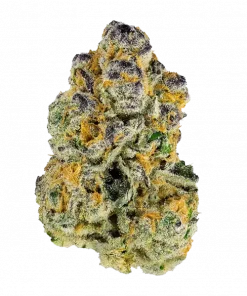 Sour Peaches, tatlı şeftali aroması ve rahatlatıcı etkileriyle bilinen Indica baskın bir türdür. Yüksek verim potansiyeliyle öne çıkar. Özelliklerini keşfedin.