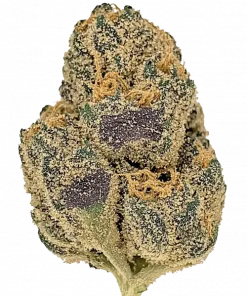 Sour Pebbles, tatlı-ekşi aroması ve yüksek THC içeriğiyle bilinen bir Sativa hibritidir. Depresyon ve anksiyeteye karşı potansiyel faydalarını keşfedin. Hemen görüntüleyin.