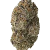 Sour Runtz, bal ve orman meyveleri aromalı, yüksek THC'li Indica dominant bir türdür. Ağrı ve anksiyeteye iyi gelir. Genetik yapısını keşfedin.