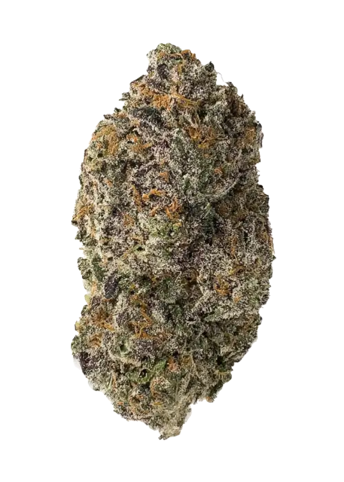Sour Runtz, bal ve orman meyveleri aromalı, yüksek THC'li Indica dominant bir türdür. Ağrı ve anksiyeteye iyi gelir. Genetik yapısını keşfedin.