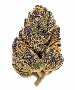 Sour Space Candy, yakıtımsı aroması ve dengeli genetiğiyle öne çıkan hibrit bir türdür. Ağrı ve anksiyeteye karşı potansiyel faydalarını keşfedin. Hemen görüntüleyin.