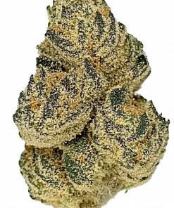 Sourdough Kush, yakıtımsı aroması ve yüksek THC içeriğiyle bilinen Indica dominant bir türdür. Ağrı ve depresyon için idealdir. Özelliklerini keşfedin.