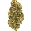 South Florida OG, yakıtımsı ve limon aromalı, yüksek THC'li Indica dominant bir türdür. Derin rahatlama ve uyku getirici etkileri keşfedin.