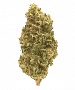 South Florida OG, yakıtımsı ve limon aromalı, yüksek THC'li Indica dominant bir türdür. Derin rahatlama ve uyku getirici etkileri keşfedin.