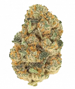 Southern Belle, tatlı ve yakıtımsı aromalarıyla öne çıkan güçlü bir Indica türüdür. Rahatlatıcı etkilerini ve genetik yapısını keşfedin.