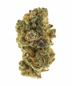 Space Face, tatlı meyve aromaları ve güçlü rahatlatıcı etkisiyle bilinen Indica baskın bir türdür. Depresyon ve uykusuzluğa iyi gelir. Özelliklerini keşfedin.