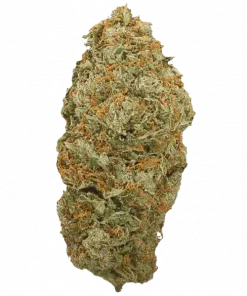 Space Jam, tatlı mentol aroması ve yüksek THC içeriğiyle öne çıkan Indica dominant bir türdür. Yaratıcılığı artıran etkilerini keşfedin ve genetik yapısını inceleyin.