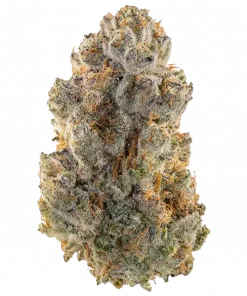 Space Juice, tropikal meyve aromaları ve 'e varan THC içeriğiyle öne çıkan dengeli bir türdür. Anksiyete ve yorgunluğa karşı potansiyel faydalarını keşfedin.