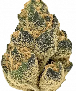 Space Mints, tatlı limon aroması ve yüksek THC içeriğiyle öne çıkan dengeli bir hibrit türdür. Enerjik etkilerini ve genetik yapısını keşfedin.