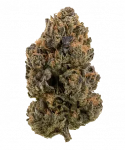 Spaced Panda, toprak ve yakıtımsı aromalarıyla öne çıkan Indica baskın bir türdür. Yüksek THC içeriği sayesinde stres ve ağrı için ideal. Özelliklerini keşfedin.