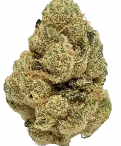 Space Queen, tatlı ve yakıtımsı aromasıyla bilinen dengeli bir hibrit türdür. Orta seviye THC içeriğiyle öne çıkar. Bu eşsiz türü keşfedin.