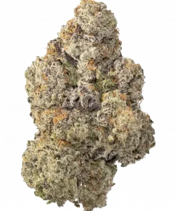 Space Station, yakıtımsı ve kimyasal limon aromalı, yüksek THC'li bir indica dominant türüdür. Ağrı ve stresi azaltmaya yardımcıdır. Özelliklerini keşfedin.