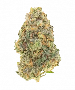 Space Ztone, tatlı meyve aromaları ve rahatlatıcı etkisiyle bilinen Indica baskın bir türdür. Yüksek THC içeriğiyle öne çıkar. Genetik yapısını keşfedin.