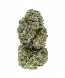 Space Walker, yakıtımsı ve naneli aromalarıyla öne çıkan dengeli bir hibrit türdür. Yüksek THC içeriğiyle dikkat çeker. Genetik yapısını ve etkilerini keşfedin.