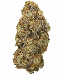 Spartan OG, sert yakıtımsı aroması ve rahatlatıcı etkisiyle bilinen Indica baskın bir türdür. Yüksek verim ve özel genetik yapısını keşfedin.