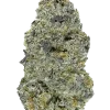 Special Kush 1, toprak tonları ve rahatlatıcı etkisiyle bilinen Indica dominant bir türdür. Ağrı ve uykusuzluğa iyi gelir. Bu eşsiz türü keşfedin.