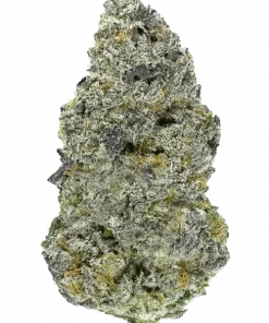 Special Kush 1, toprak tonları ve rahatlatıcı etkisiyle bilinen Indica dominant bir türdür. Ağrı ve uykusuzluğa iyi gelir. Bu eşsiz türü keşfedin.
